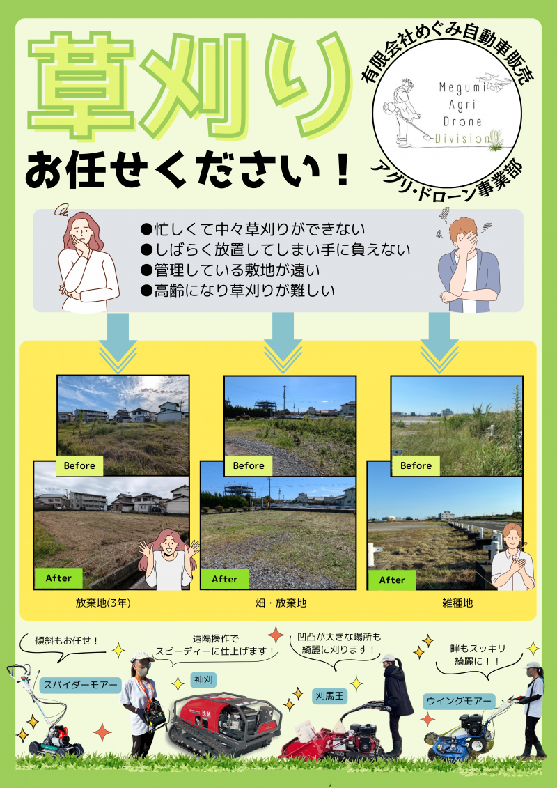 莖